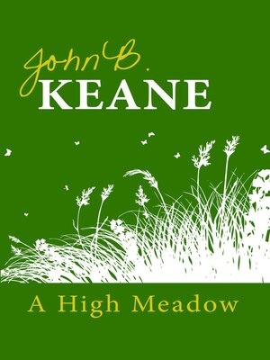 cover image of A High Meadow